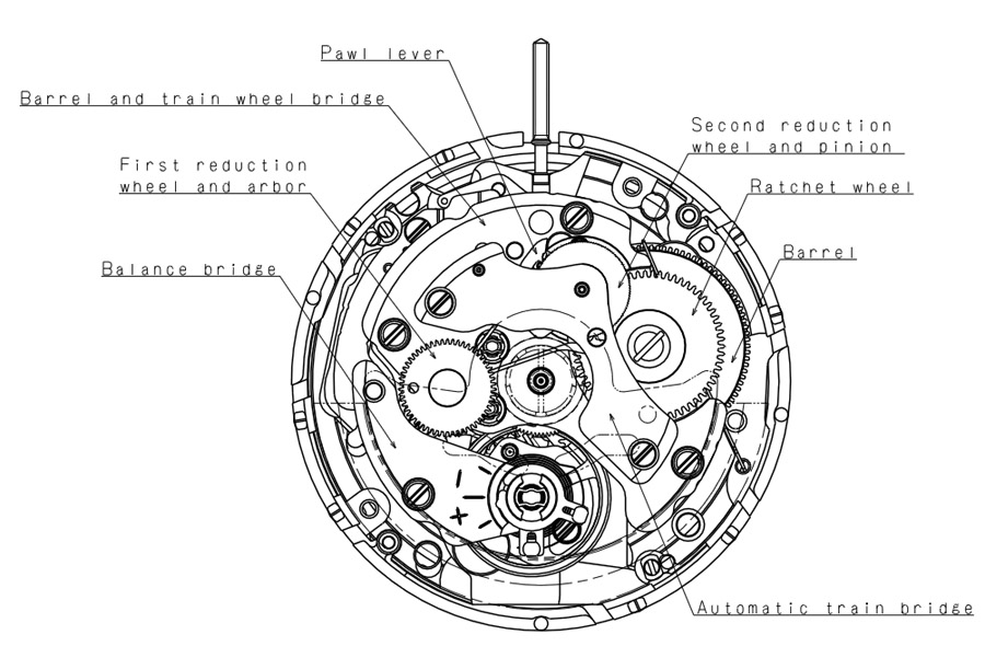seiko-sii-nh35-caliber-specs-drawing Crayonné d'un mouvement NH35